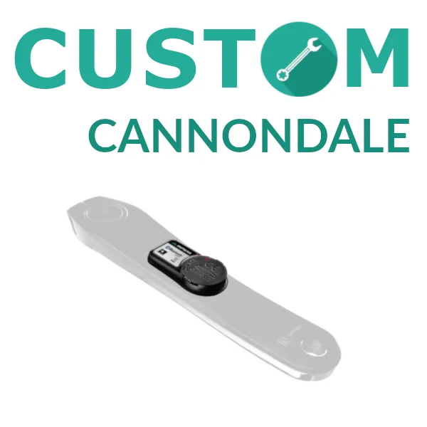 INPEAK Wattmeter Cannondale Custom