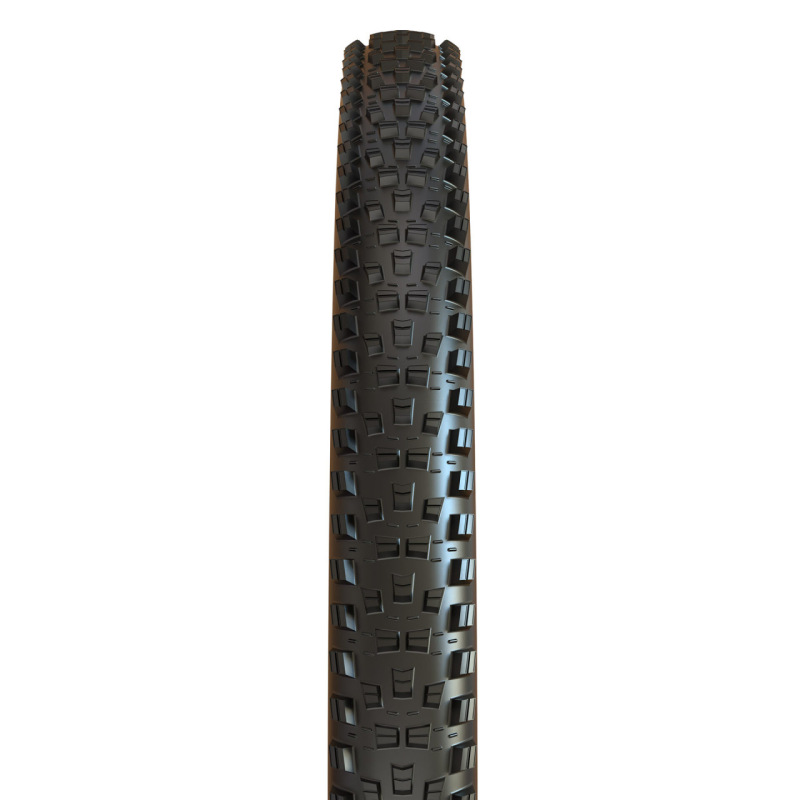 Maxxis plášť FOREKASTER EXO/TR 29X2.60, kevlar 1