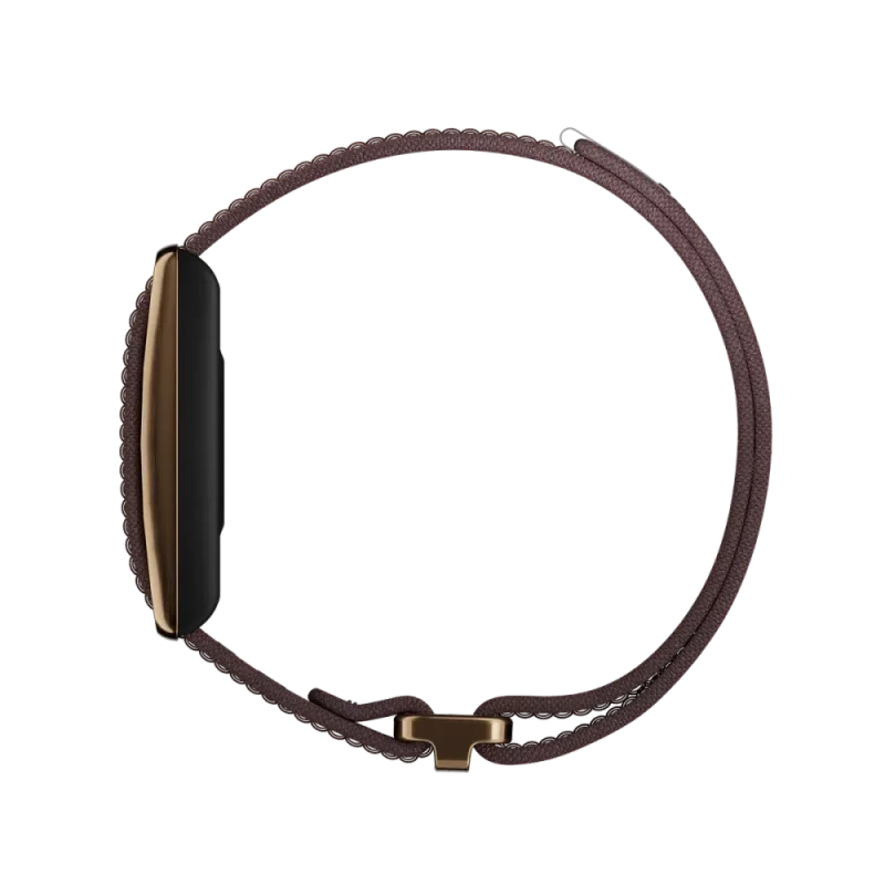 POLAR LOOP / Brown Copper 2