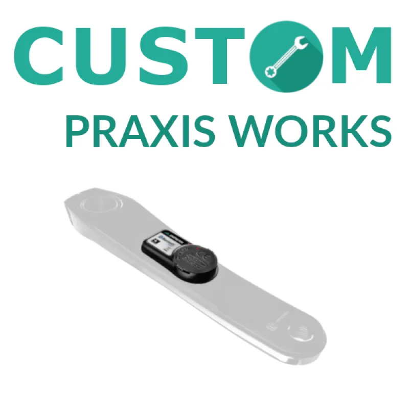 Wattmeter Inpeak PraxisWorks Custom